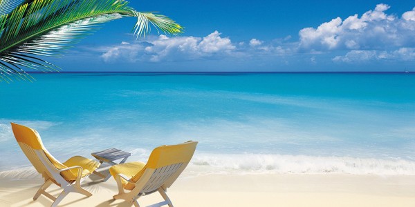 Property Management - Blue Palm Real Estate