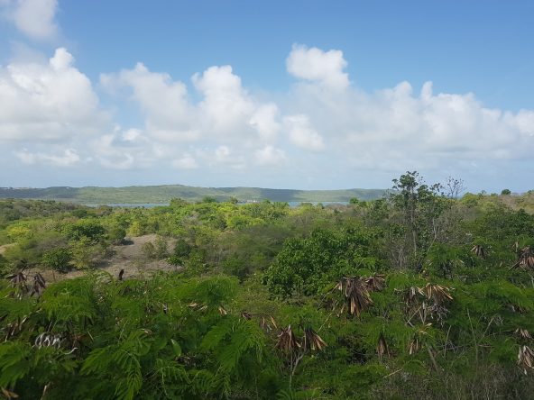 20190605_145829