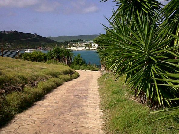IMG00005-20100622-1528