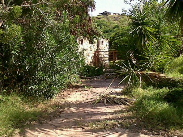 IMG00006-20100622-1529