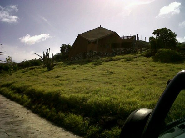 IMG00007-20100622-1530