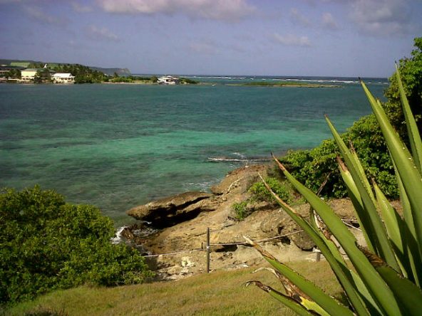 IMG00013-20100622-1532