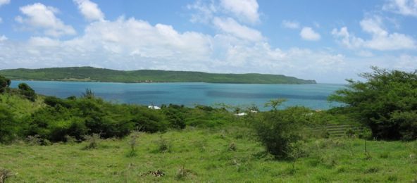 Panaramic-View1