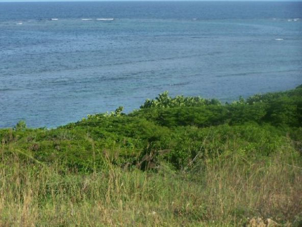 Redhill, Willoughby Bay – 17 A6
