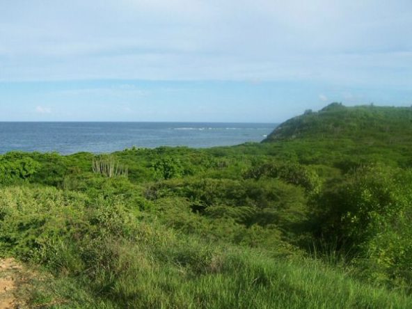 Redhill, Willoughby Bay – 17 A7