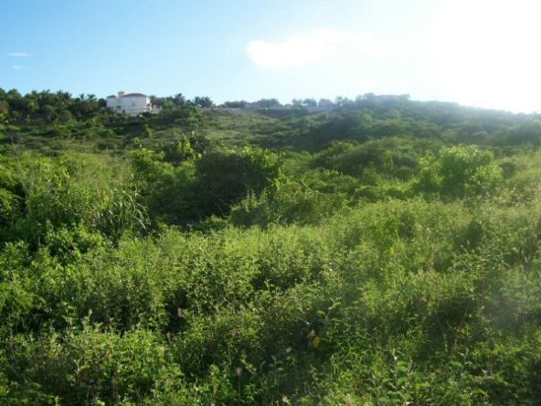 Redhill, Willoughby Bay – 17 A8