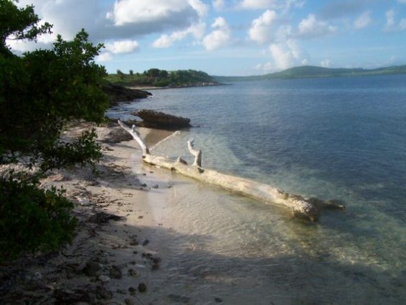 Redhill, Willoughby Bay – 17 Acres1
