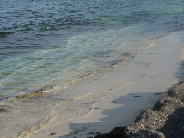 Redhill, Willoughby Bay – 17 Acres4