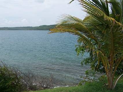crawl_bay_2_5