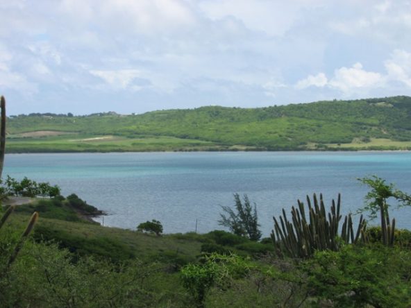 land-antigua-0091