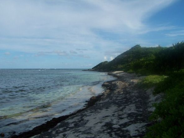 redhill_3