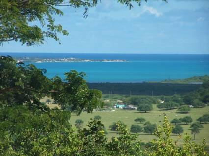 sea_view_farm_3