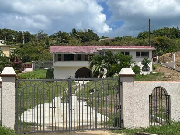 WhatsApp Image 2025-08-18 at 2.21.49 PM