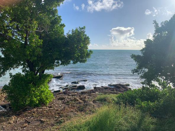 WhatsApp Image 2025-08-18 at 2.59.24 PM (1)