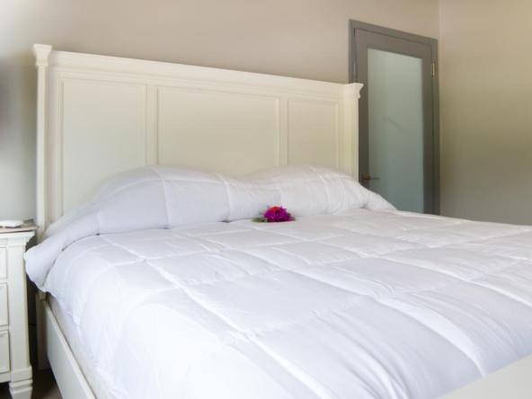 WhatsApp Image 2025-08-19 at 5.21.58 PM (2)